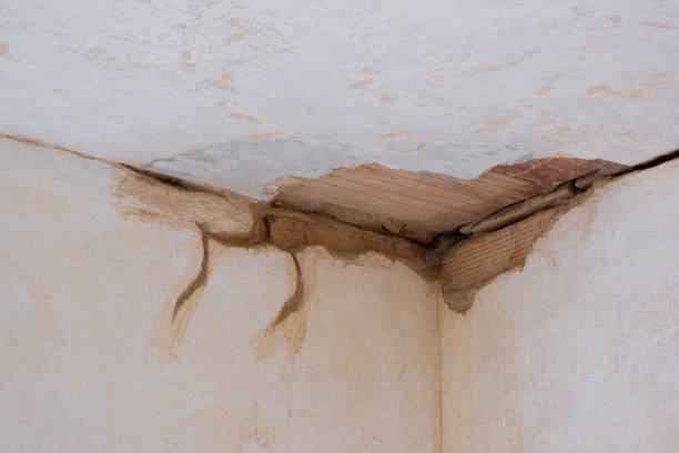 Best Basement water damage restoration  in Filer, ID