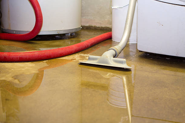 Best Flood damage cleanup  in Filer, ID