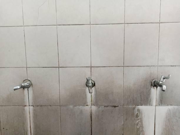 Best Carpet water damage restoration  in Filer, ID