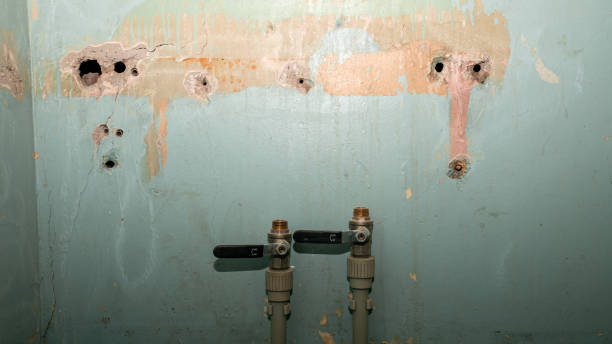 Best Water damage restoration near me  in Filer, ID