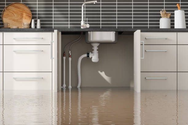 Trusted Filer, ID Water damage restoration Experts