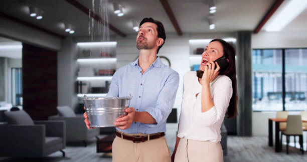 Best Mold removal after water damage  in Filer, ID